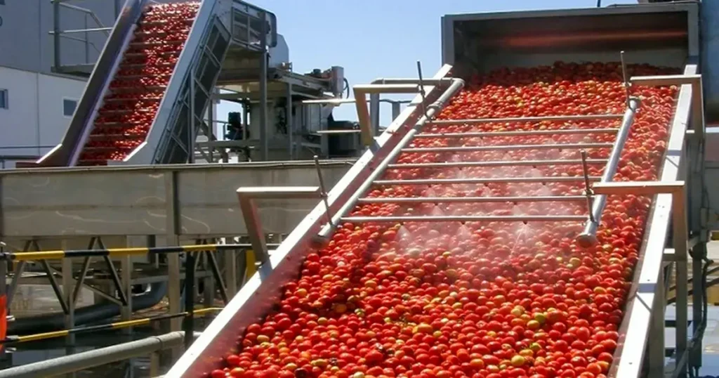 Seamerco Tomato Paste Production Line